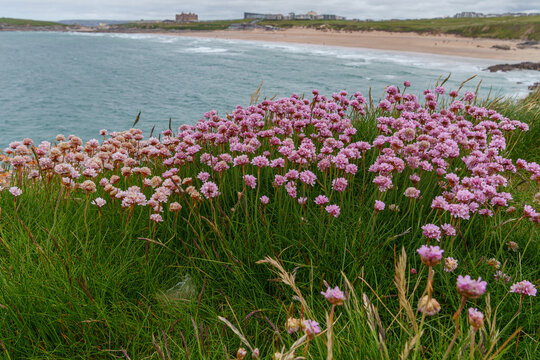 Newquay an der K&uuml;ste von Cronwall