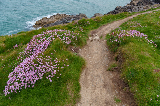 Newquay an der K&uuml;ste von Cronwall