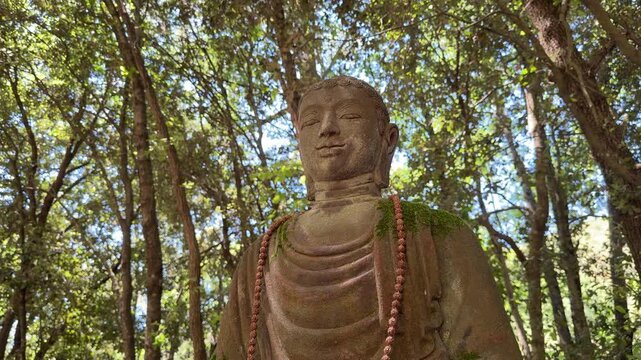 Estatua de Buda entre &aacute;rboles mediterr&aacute;neos con luz natural y atm&oacute;sfera espiritual &mdash; v&iacute;deo 4K iPhone 17 Pro Apple ProRes