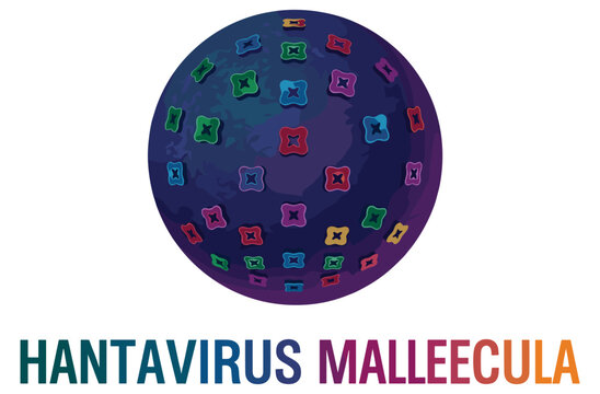 3d illustration of hantavirus molecule detailed structure with colorful pattern on dark sphere on transparent background