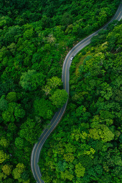 Transportation route passing through dense forest from aerial perspective. Great commercial background for sustainability campaigns, eco investment and environmental business.