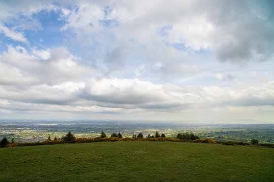 Panoramic hilltop view over Irish cityscape with gorse and conifers