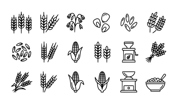 Agriculture and cereal grains vector icon set. Black line icons of wheat, corn, rice, barley, flour sack, grain mill, and porridge bowl. Isolated on white background.