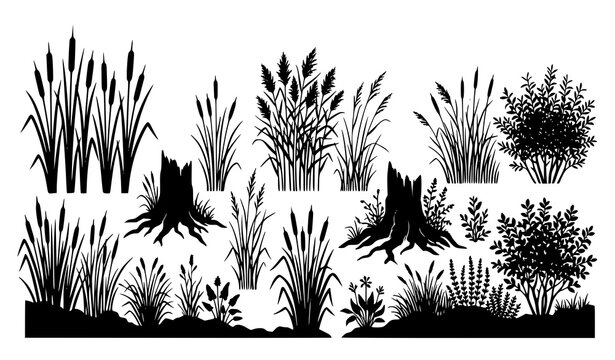 Dense forest grass and swamp reeds landscape design elements. Detailed black silhouette set of wild plants, meadow grass, and old tree stumps on white background