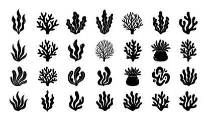 Coral Reef, Seaweed and Underwater Marine Plant Silhouette Vector Collection © Keyapayal
