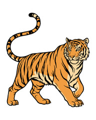 Fototapeta premium Stalking Bengal Tiger Illustration Isolated on White Background