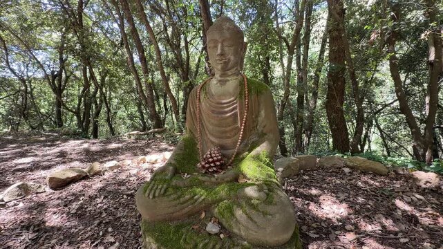 Estatua de Buda cubierta de musgo en un bosque mediterr&aacute;neo con atm&oacute;sfera zen &mdash; v&iacute;deo 4K iPhone 17 Pro Apple ProRes