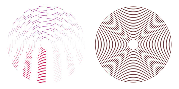 Abstract circular design elements with concentric lines and dashed patterns
