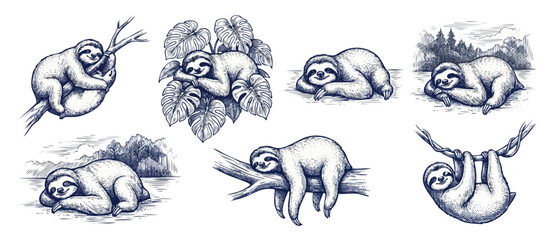 Fototapeta premium Sloth sketch illustration hand drawn set of cute lazy sloths sleeping and hanging on tree branches with tropical monstera leaves, vintage engraving style drawings isolated on white background.