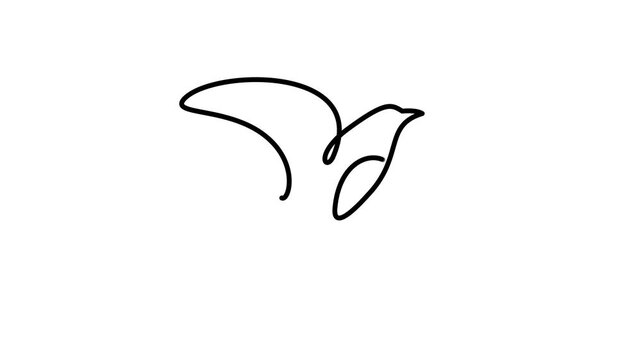 Continuous line drawing of bird in flight animation representing freedom motion and creative design.