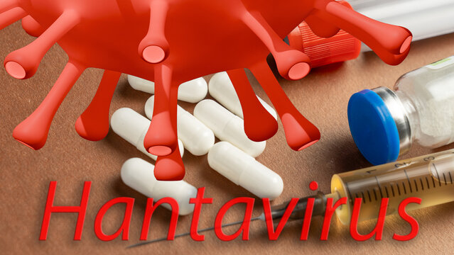 Red virus icon shows Hantaviruses structure. White capsules lie scattered nearby. Syringe with blue cap rests beside the pills. Bold red text labels the disease name