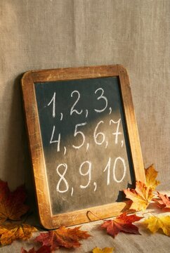 Schiefertafel mit handgeschriebenen Zahlen 1 bis 10 zwischen herbstlichem Laub