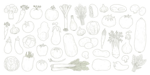 Fototapeta premium Hand drawn collection of various vegetables and produce in outline style food assortment