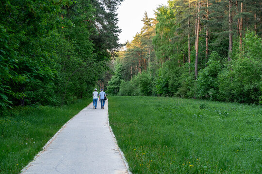 Two Adults Walking Along Park Path Under Tall Pine Trees At Golden Hour, Colleagues Decompressing After Work, Casual Clothing, Paved Walkway Cutting