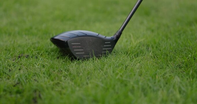 Hands, golf ball and putter or tee, sports and competition on grass, challenge and tournament. Person, athlete and ready for game, practice and hobby or recreation, action and equipment for match