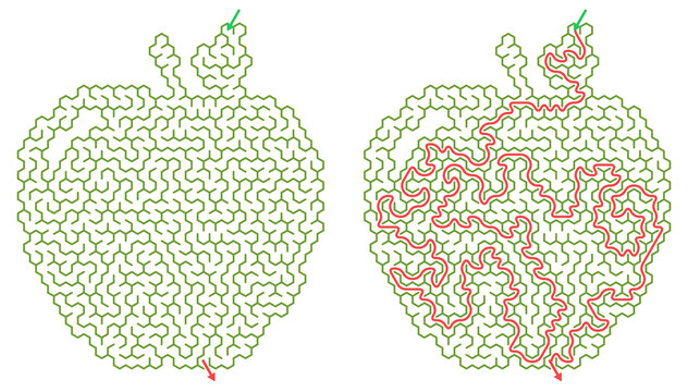 Apple shaped hexagonal maze puzzle set with solution. Fruit masked honeycomb labyrinth. Dark gaming educational worksheet with red path.