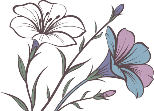 Minimalist Lechenaultia Flower Watercolor Illustration Isolated on White Background, Decorative Botanical Poster Style Artwork