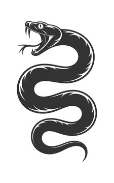 Black snake silhouette against a white background detailed illustration