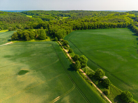 Squerryes Court and Westerham Aerial View
