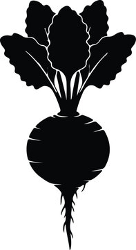 Silhouette vector garden beetroot vegetable with green leafy top design