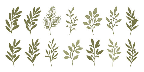 Set of hand drawn olive branches and leaves in different styles on transparent background © Yehor