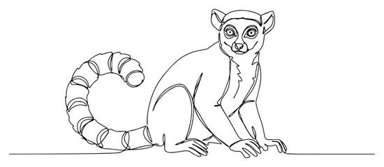 Ring tailed lemur sitting continuous one line drawing Madagascar wild animal silhouette minimalist nature vector illustration © ----WWWLINE----
