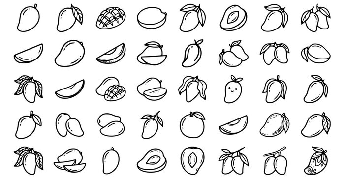 Hand drawn mango outline doodle icon set with tropical fruit sketches in minimal vector style
