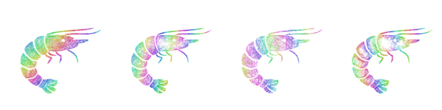 Colorful sketch shrimp icon design set