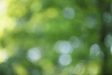 Fototapeta premium Blurred view of green and light blue background. Bokeh effect