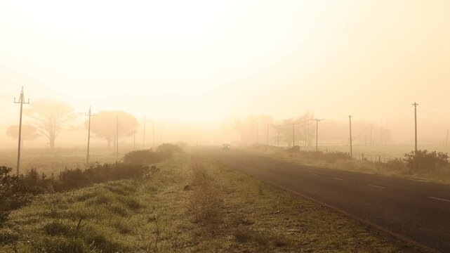 fog settling on highway at sunrise, Stanford, South Africa