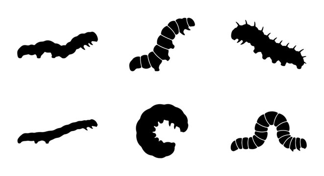 Set of black silhouettes of different caterpillars