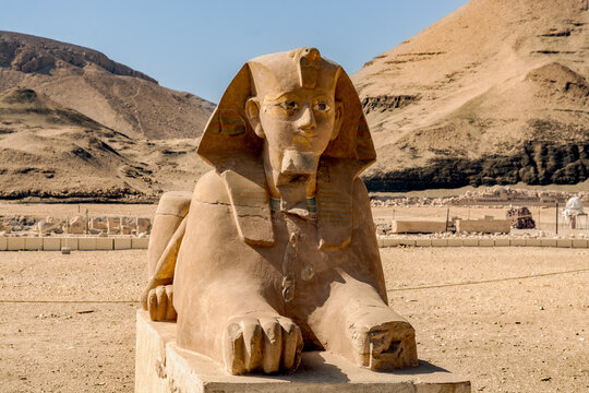 Sphinx on the grounds of temple of Hatshepsut, Luxor, Egypt