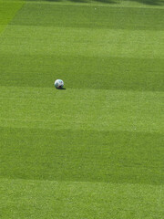 Obraz premium Soccer ball resting on green grass on a football field.