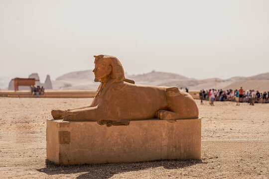 Sphinx on the grounds of temple of Hatshepsut, Luxor, Egypt