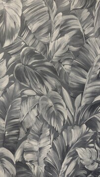 Monochrome tropical background with banana leaves and monstera grey fabric texture with jungle pattern