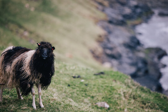 Faroe Islands