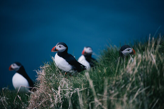 Faroe Islands