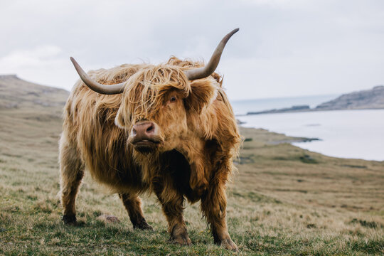 Faroe Islands