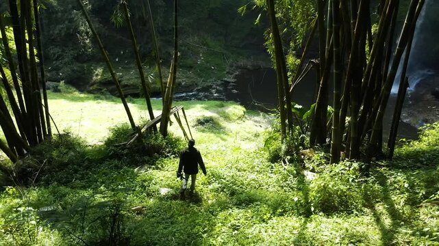 A traveler walks through a bamboo forest towards a hidden waterfall ravine.