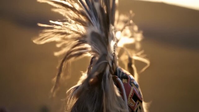Close up of a traditional Indigenous headdress with feathers