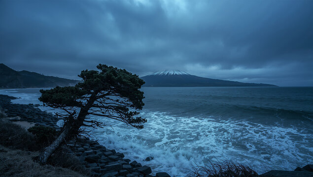 黒松 Images – Browse 784 Stock Photos, Vectors, and Video | Adobe