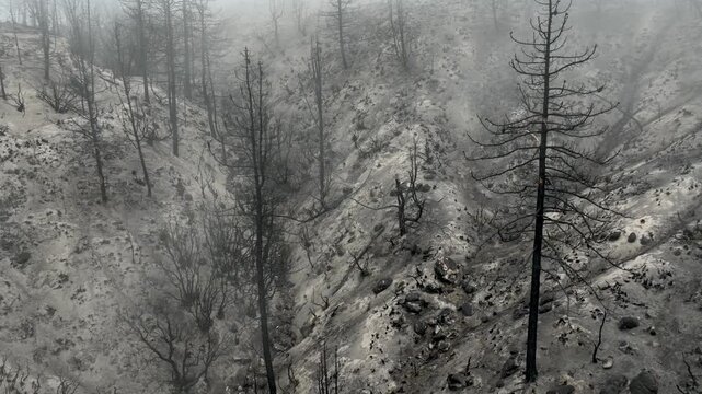 Aerial of a burnt mountainside from a recent wildfire. Near Los Angeles California.