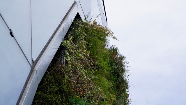 Planted exterior building facade detail with metal panel cladding