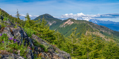 Mt Bachelor with Mt Jefferson in the clouds as seen from Coffin Mt. Oregon Cascades. © PKZ