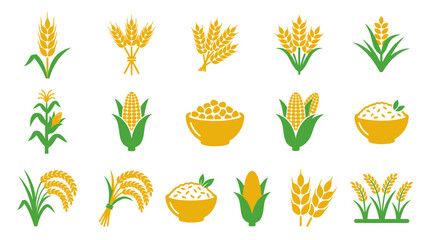 Agricultural crop icons featuring wheat corn and rice stalks. © Anas