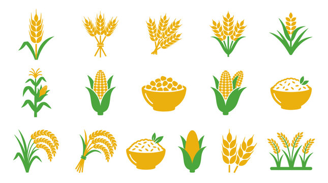 Agricultural crop icons featuring wheat corn and rice stalks.