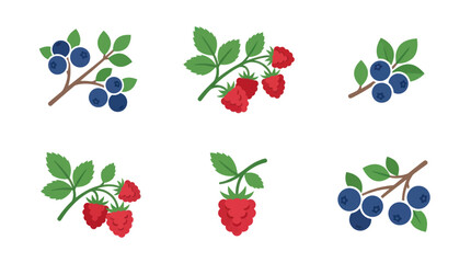 Flat berry fruit icons set on white background. © Anas