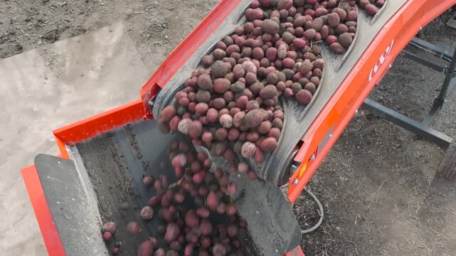 Potato Farm in Southern Oregon - Drone