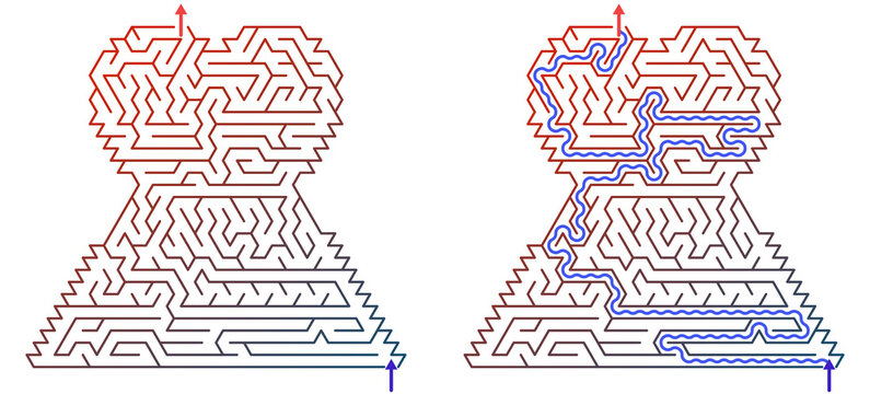 Interconnected maze design with red and blue pathways and solutions  