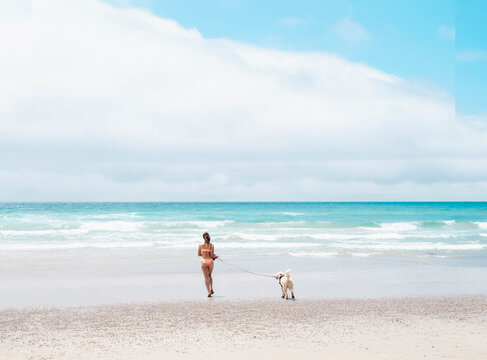 bikini woman running with dog on ocean beach in san diego california del mar